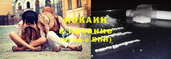 ПСИЛОЦИБИНОВЫЕ ГРИБЫ Новозыбков