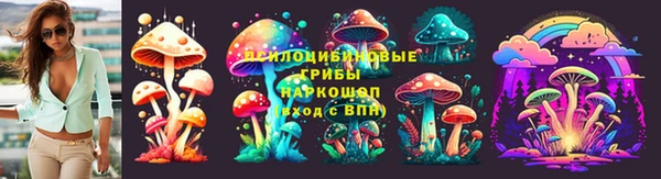MDMA Новодвинск