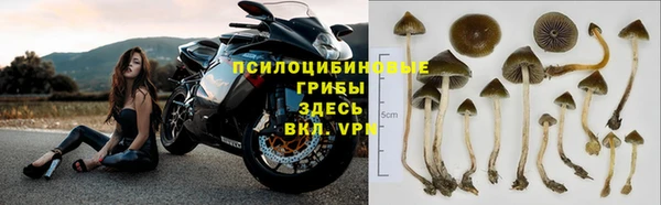 прущие грибы Нея