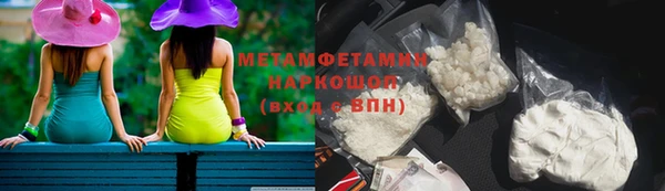 ПСИЛОЦИБИНОВЫЕ ГРИБЫ Новозыбков