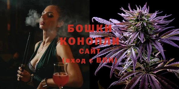 ПСИЛОЦИБИНОВЫЕ ГРИБЫ Новозыбков