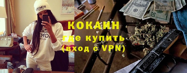 ПСИЛОЦИБИНОВЫЕ ГРИБЫ Новозыбков