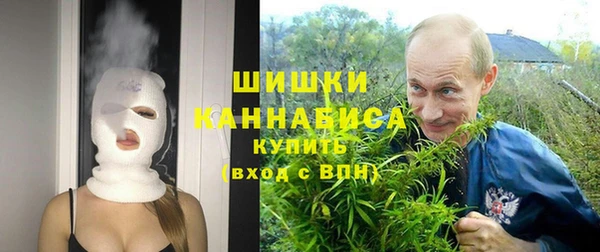прущие грибы Нея