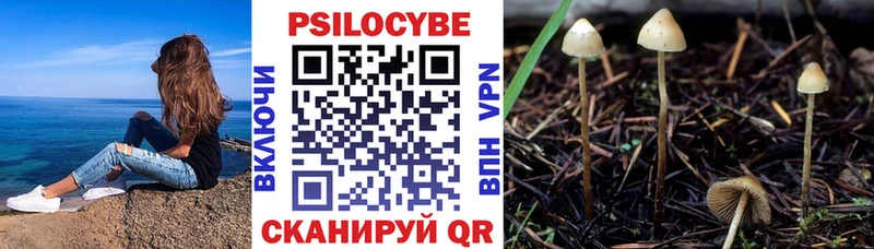 ОМГ ОМГ ТОР  Кедровый  Псилоцибиновые грибы мицелий 